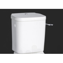 Armitage Shanks Contour 21 Standard Close Coupled Cistern With Syphon No Lever For Use With 75cm Projection Pan